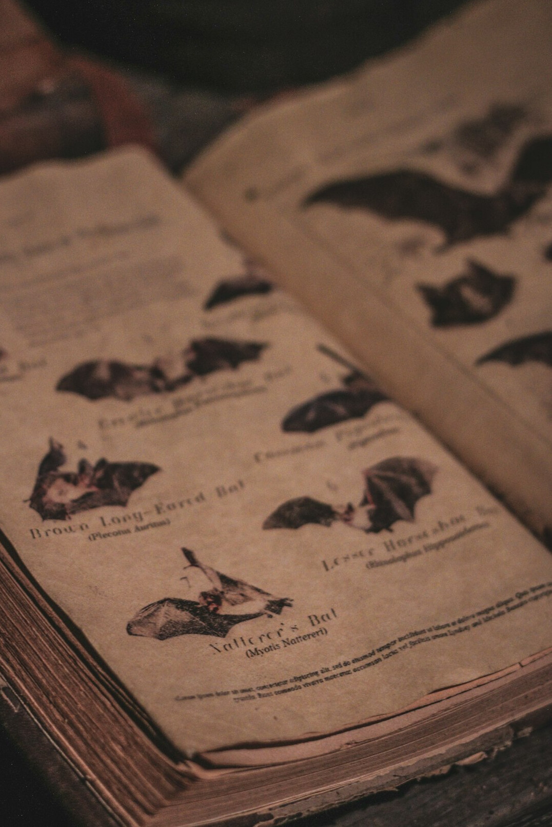 vintage detective book