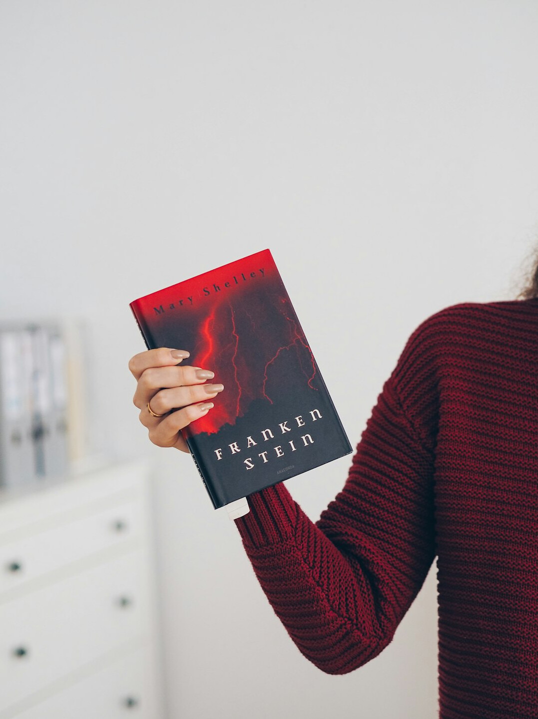 mystery novel book